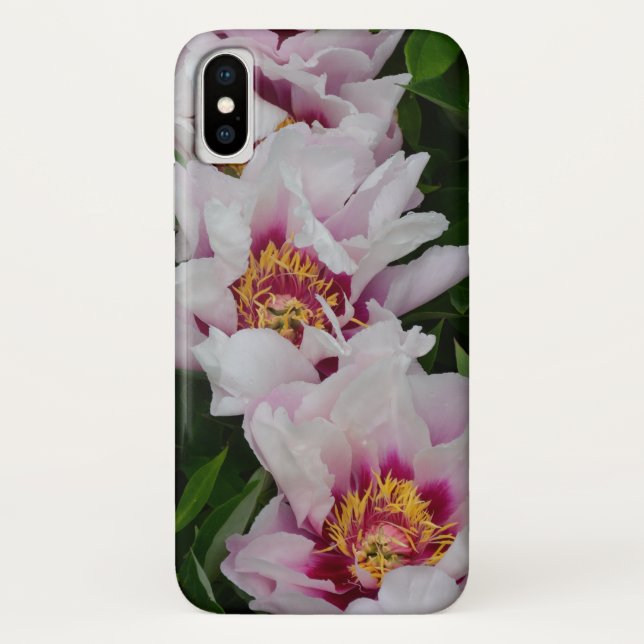 Rosa und weiße Blume Case-Mate iPhone Hülle (Rückseite)