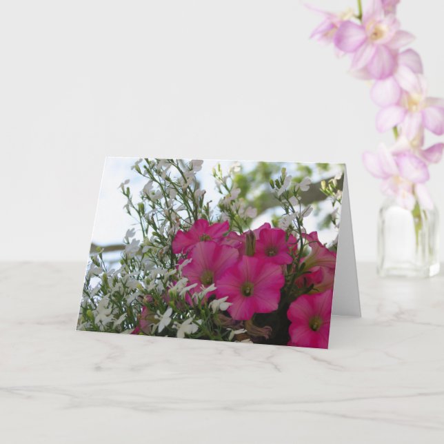 Rosa und weiße Blume - Martha's Vineyard Card Karte (Orchidee)