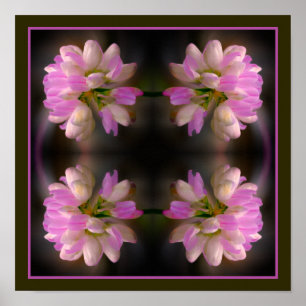 Rosa und weiße Blume Nah Abstrakt Poster