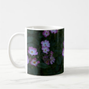 Rosa und weiße Bush-Rose Kaffeetasse