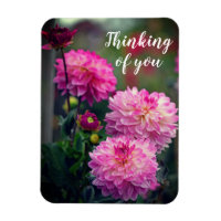 Rosa und weiße Dahlia Blume Denken Sie an Sie