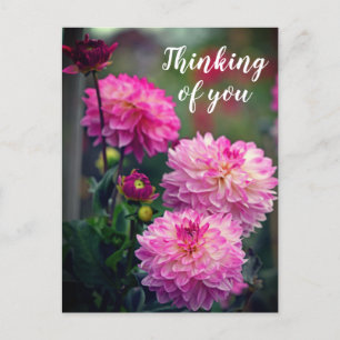 Rosa und weiße Dahlia Blume Denken Sie an Sie Postkarte