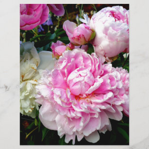 Rosa und weiße Erdnüsse