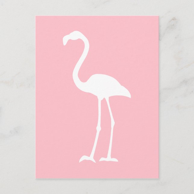 Rosa und weiße Flamingo Postkarte (Vorderseite)