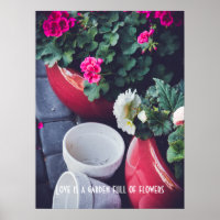 Rosa und weiße Gartengeranienblüten