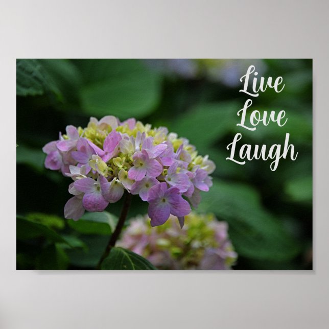 Rosa und weiße Hydrangea-Blume Motivierend Poster (Vorne)