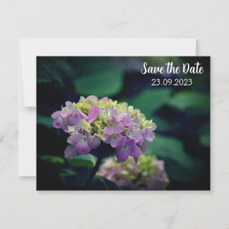 Rosa und weiße Hydrangea-Blume Save the Date Feiertagskarte