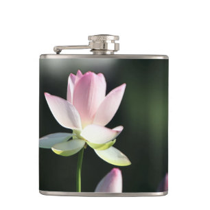 Rosa und weiße Lotus-Blume Flachmann