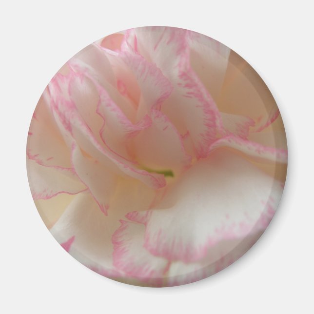 Rosa und weiße Nelkenprägung Magnet (Vorne)