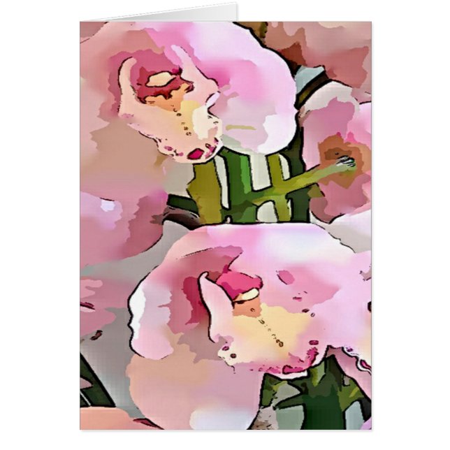 Rosa und Weiße Orchidee (Vorne)