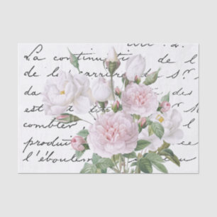 Rosa und weiße Redouté-Rose Französisches Script V Seidenpapier
