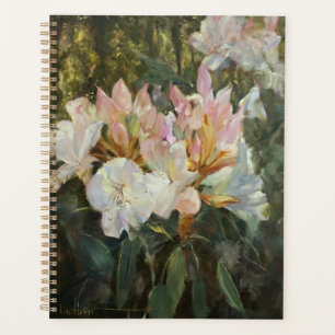 Rosa und weiße Rhododendren Tiefgrüne Foliage Planer