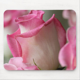 Rosa und weiße Rosen Mousepad
