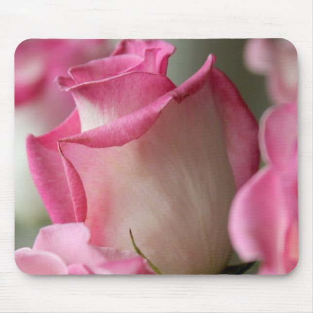 Rosa und weiße Rosen Mousepad (Vorne)