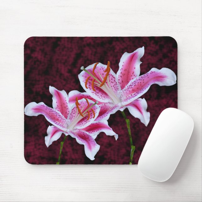 Rosa und Weiße Sterngazer Lily Nah up Fotografie Mousepad (Mit Mouse)