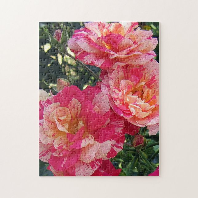 Rosa und weiße Streifen Rose Blumenstrauß Puzzle (Vertikal)