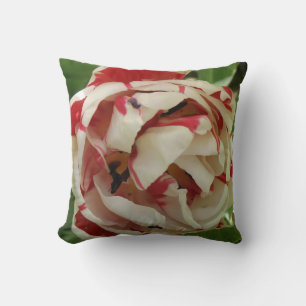 Rosa und weiße Tulip Kissen