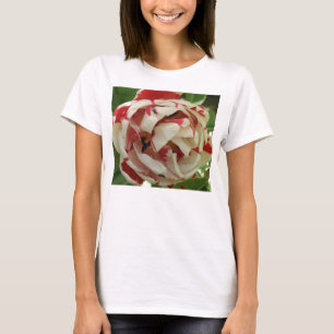Rosa und weiße Tulip Ladys T Shirt