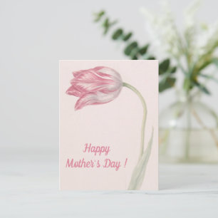 Rosa und weiße Tulpe - Fine Art Muttertag Postkarte