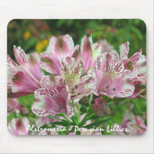 Rosa und weißes Alstromeria Mousepad