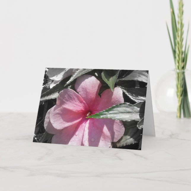 Rosa ungeduldig karte (Vorderseite)