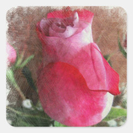 Rosa Valentine-Rose Quadratischer Aufkleber
