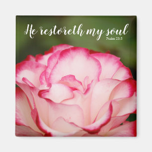 Rosa Variegierte Rose Psalm 23:3 Schrift Magnet