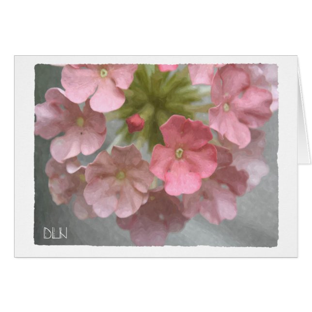 Rosa Verbena - florale Kunst (Vorderseite (Horizontal))