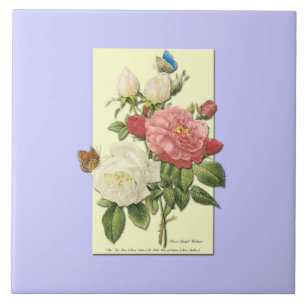 Rosa Vintage botanische Rose Fliese