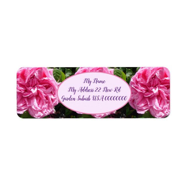 Rosa Vintage Cabbage Rose Blume Blumenrückgabe hin (Vorne)