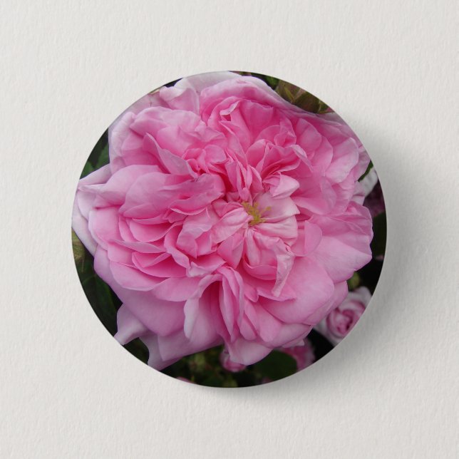 Rosa Vintage Rose Blume Button (Vorderseite)
