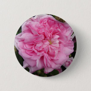 Rosa Vintage Rose Blume Button