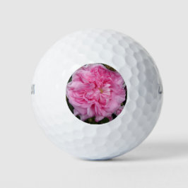 Rosa Vintage Rose Blume Golfball