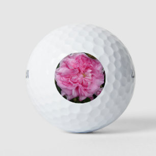 Rosa Vintage Rose Blume Golfball