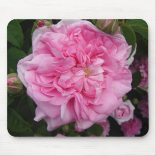 Rosa Vintage Rose Blume Mousepad