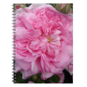 Rosa Vintage Rose Blume Notizblock