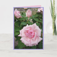 Rosa Vintage Rose Rose Garten Blume Karte