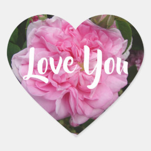 Rosa Vintage-Rosen Blumen floral Liebe Herz-Aufkleber