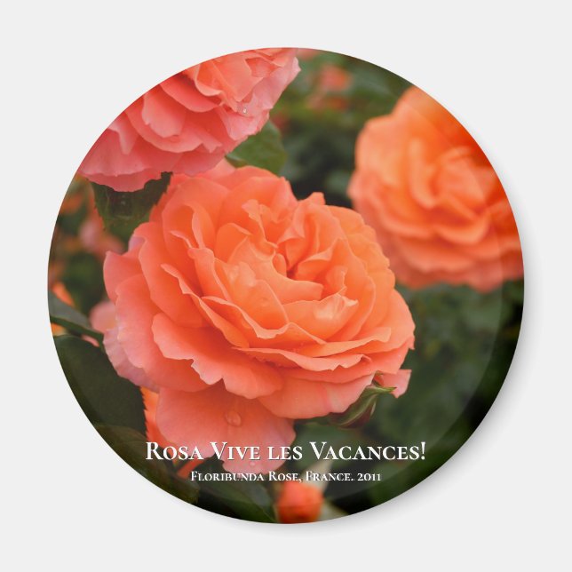Rosa Vive les Vacances! Magnet (Vorne)