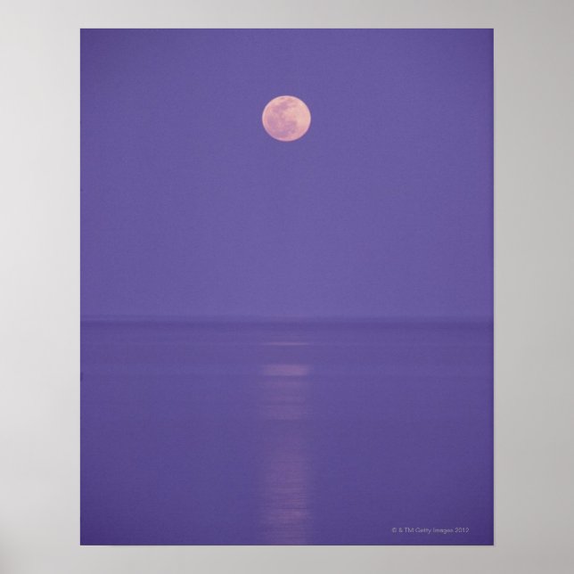 Rosa Vollmond Poster (Vorne)
