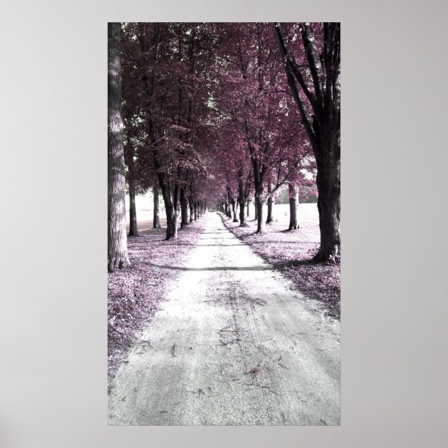 Rosa Waldschlucht Poster (Vorne)