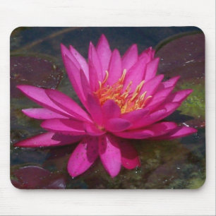 Rosa Wasser-Lilie Mousepad