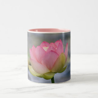Rosa Wasser-Lilie Zweifarbige Tasse