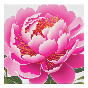 Rosa Wasserfarbe Floral Poster