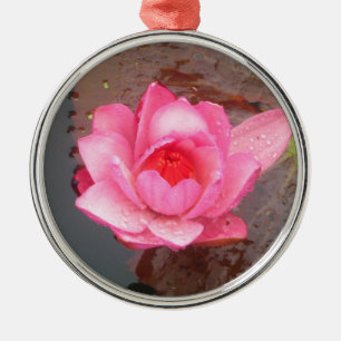 Rosa Wasserlilie Blume Silbernes Ornament