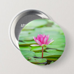 Rosa Wasserlilie Button