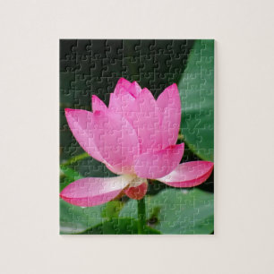 Rosa Wasserlilie in einem Teich Puzzle