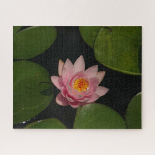 Rosa Wasserlilie Jigsaw Puzzle