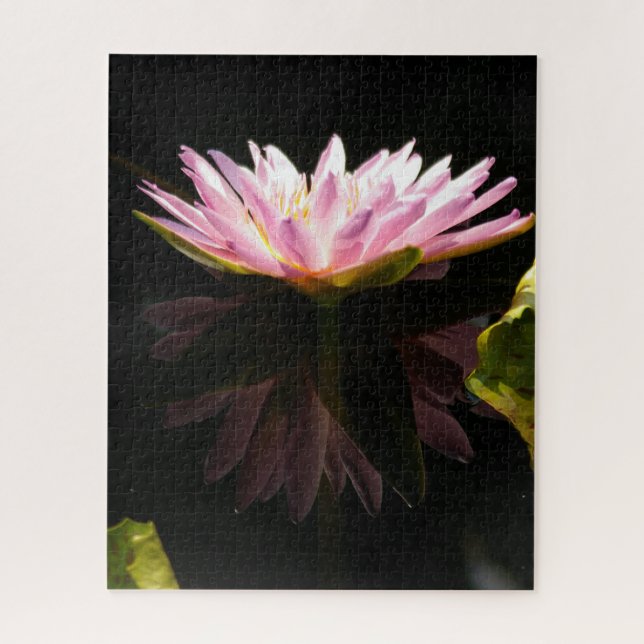 Rosa Wasserlilie Jigsaw Puzzle (Vertikal)