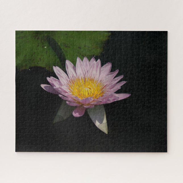 Rosa Wasserlilie Jigsaw Puzzle (Horizontal)